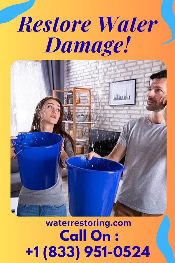 water restoration Rapid Property Restoration Company Disputanta